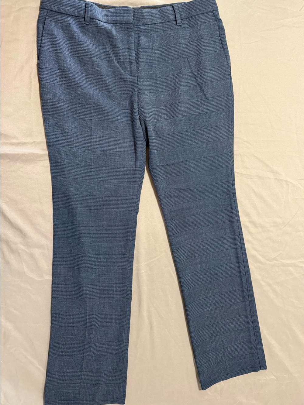 Ann Taylor Dress Pants